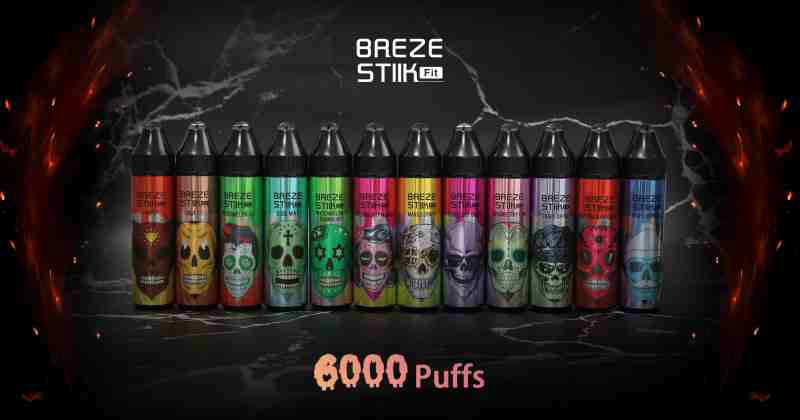 Breze Stiik 6000