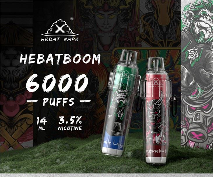 Hebat Vape 6000 Puffs Boom elektronische Zigarette