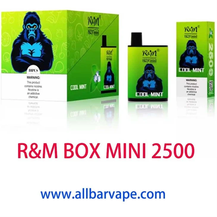 R&M BOX MINI 2500 vapes 2500 puffs