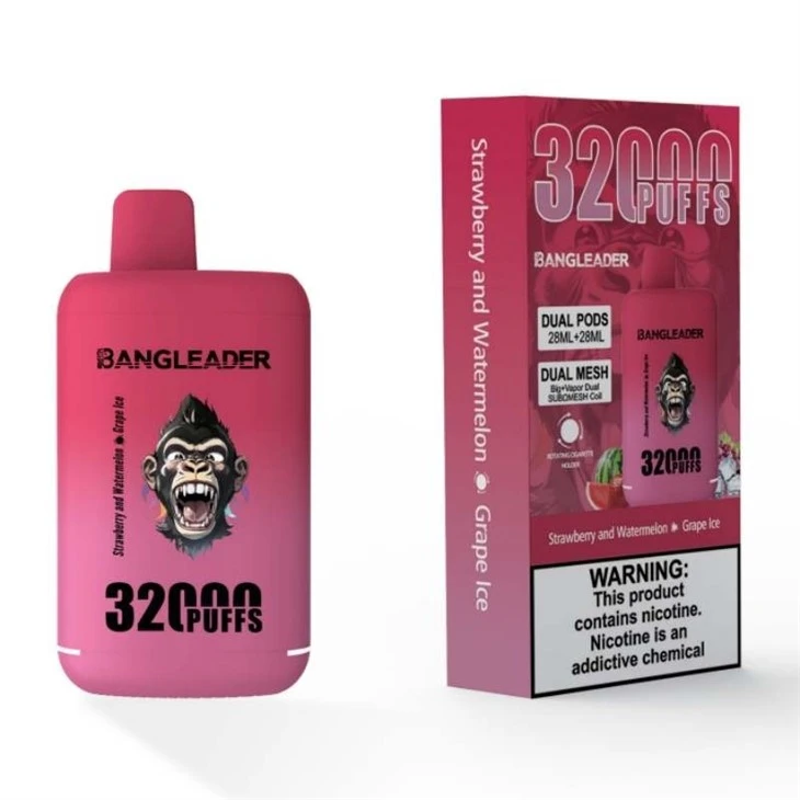 BANG LEADER 32000 21