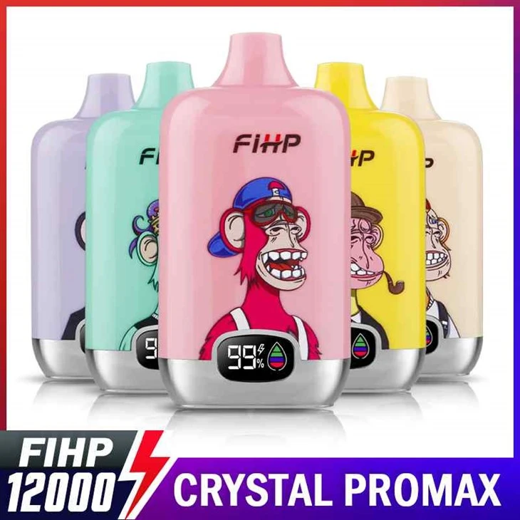FIHP Digital Box 12000 Züge Vape