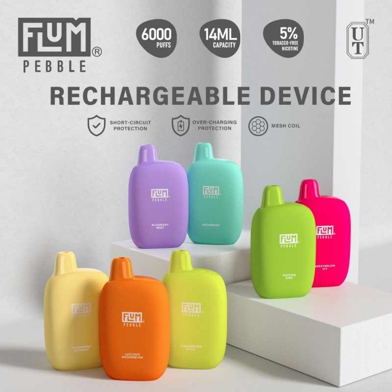 FLUM Pebble 6000 Puffs Einweg-Vaporizer