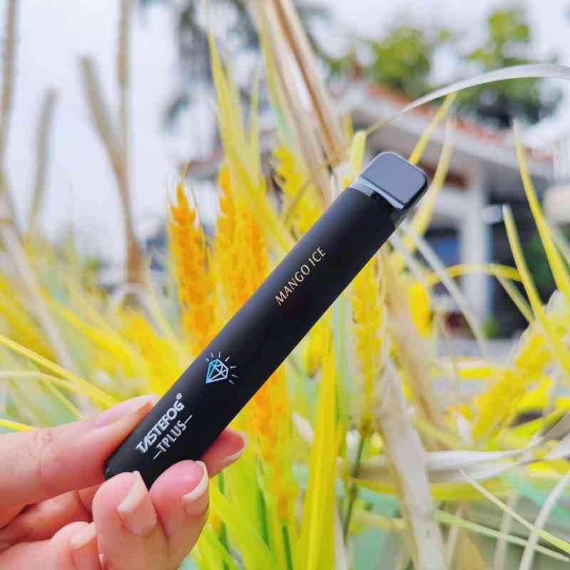 TASTEFOG TPLUS 800 21