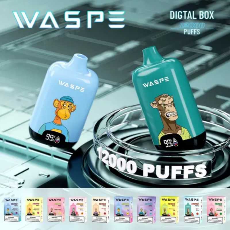 WASPE Digital Box 12000 17