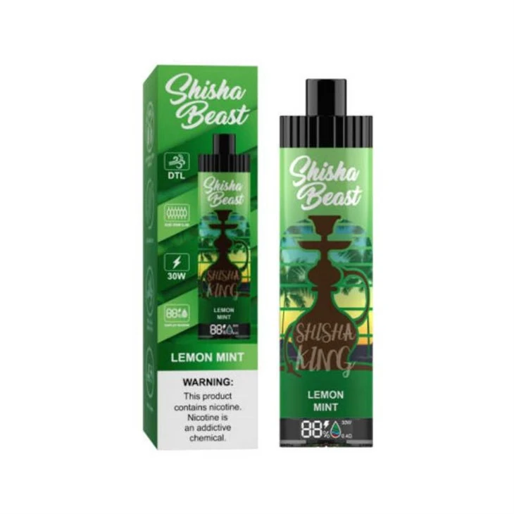R&M ShiSha Beast 20000 Züge