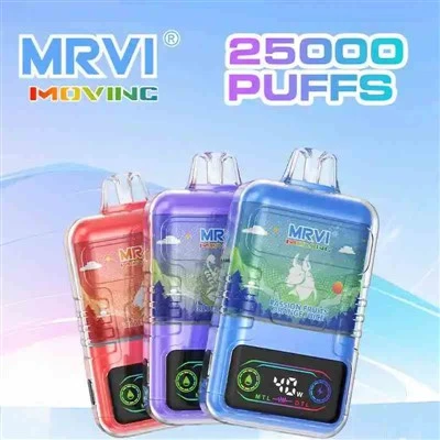 MRVI Umzug 25000