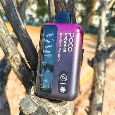 POCO SCHNEEMANN 70000 PUFFS