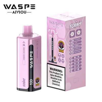 WASPE AIVIOU 10 in 1 Quinton 500K