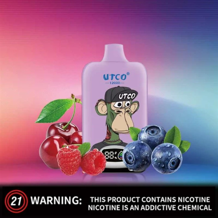 UTCO Digital Box 12K Züge